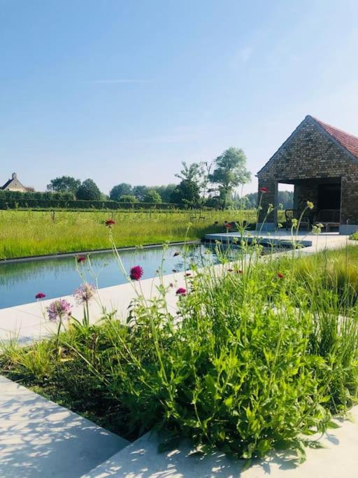 Schuurloft Hof Ten Bogaerde Met Biozwembad, Veldzicht & Uilennest Jabbeke  Exterior photo